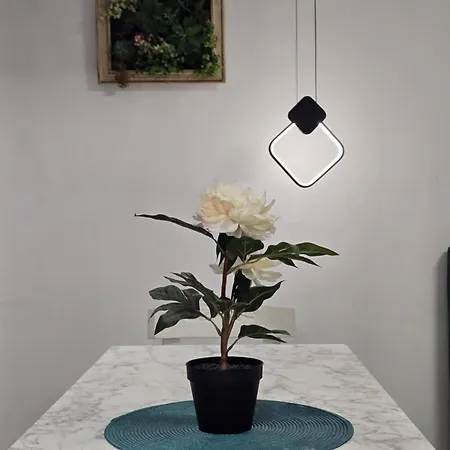 Roomy Apartment Tirana