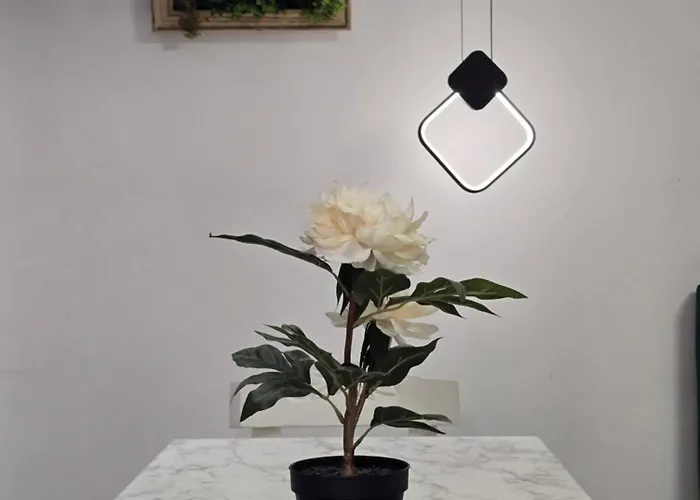 Roomy アパート ティラナ